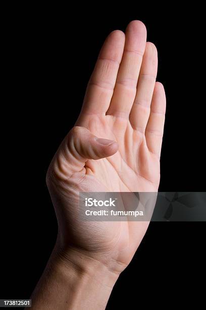 Mão Humana Manual Alfabeto - Fotografias de stock e mais imagens de Comunicação - Comunicação, Comunicação Global, Conceito