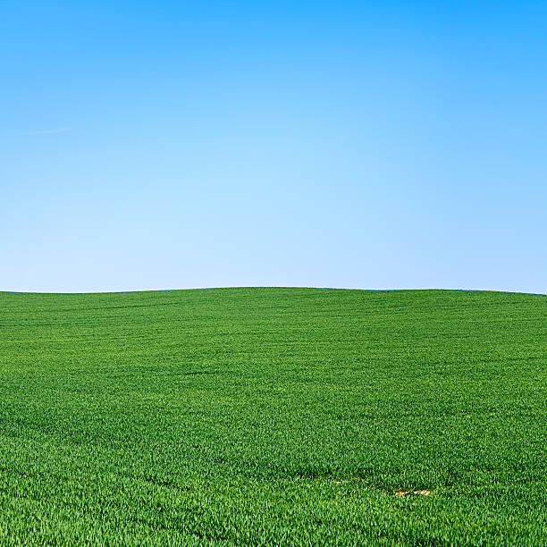 istock Square spring landscape 25MPix XXXL - meadow, blue sky 173812622