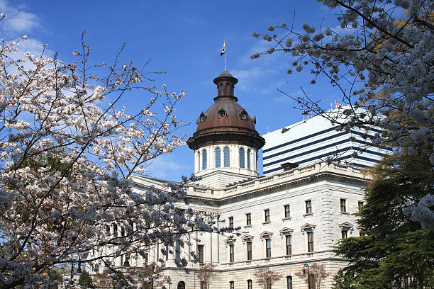 istock South Carolina State House 173813190