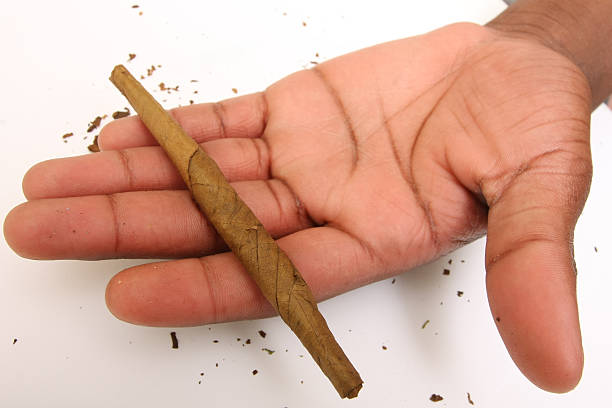 blunt "hand holding a bluntplease view my related images(rolling a blunt, marijuana)" blunts stock pictures, royalty-free photos & images