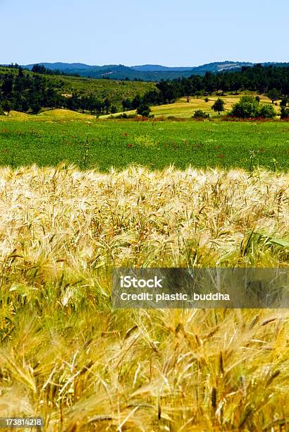 Schönen Frühling Landschaft Stockfoto und mehr Bilder von Baum - Baum, Berg, Bildhintergrund