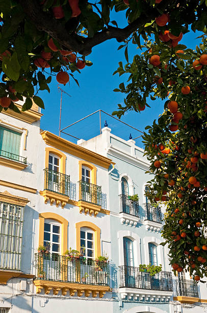 Colorful Triana townhouses with their delicate wrought iron balconies overlooking the R