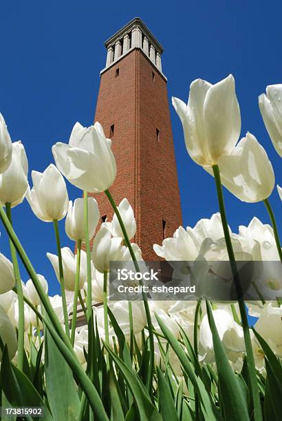 Spring On Campus Stock Photo - Download Image Now - Alabama - US State, Tuscaloosa, Campus