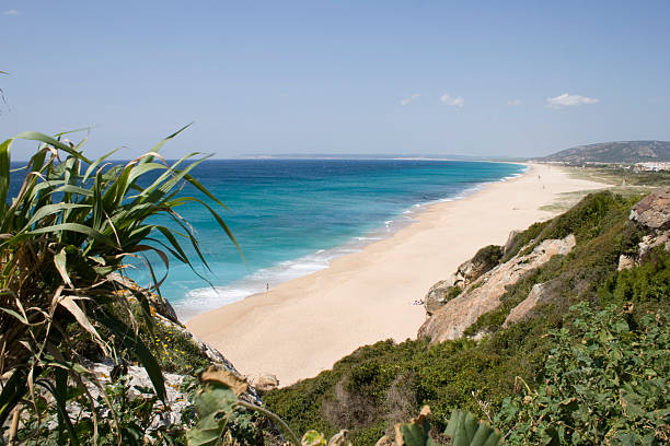 istock Beach of Cadiz 173815967