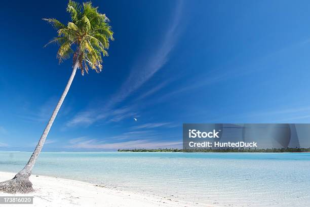 Palmo Di Maupiti - Fotografie stock e altre immagini di Isola di Maupiti - Isola di Maupiti, Ambientazione tranquilla, Arcipelago delle Isole Società