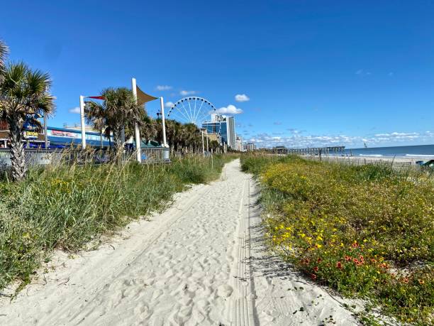 istock Myrtle Beach, South Carolina 1738164929