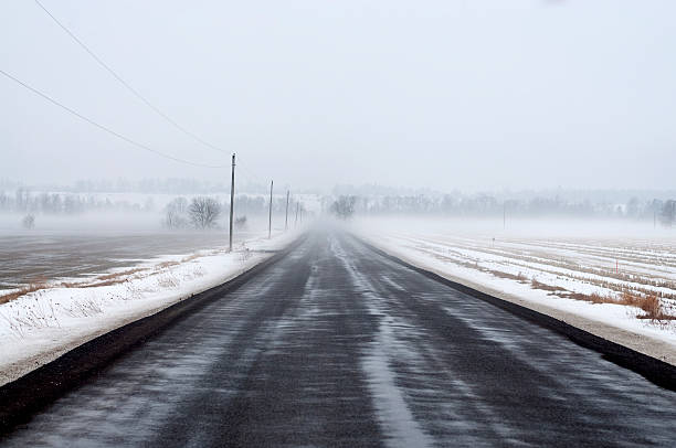 istock Long Country Road on a Winter Day 173817441