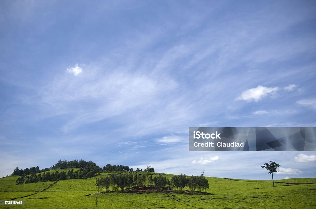 Landschaft Afrikas - Lizenzfrei Afrika Stock-Foto
