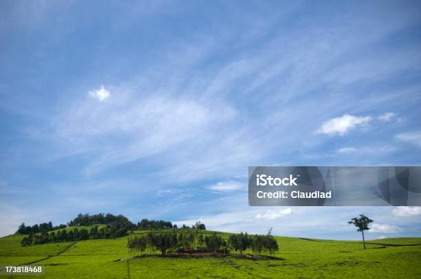 Landschaft Afrikas Stockfoto und mehr Bilder von Afrika - Afrika, Anhöhe, Baum