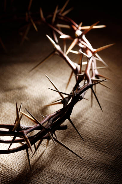 istock Crown of Thorns on a Burlap Background 173818763