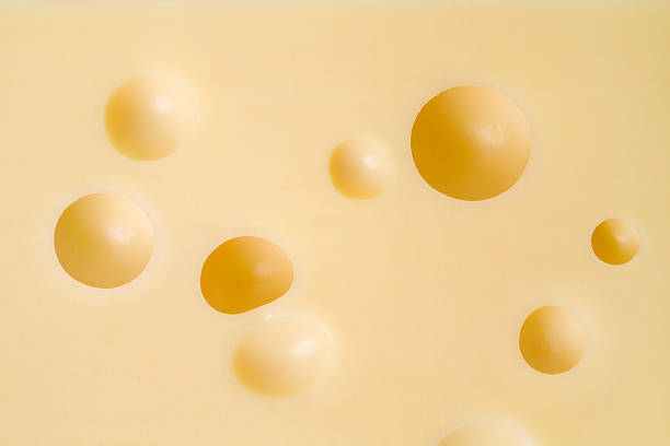 スイスチーズ - swiss cheese ストックフォトと画像