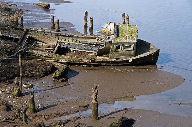 istock Disintegrating boat on river bank 173821069
