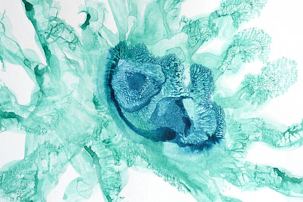 germ "Watercolour abstract painting, created and painted by the photographer" animal embryo photos stock illustrations