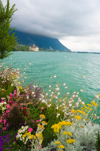 Wildflowers bloom on the stormy shores of Lake Geneva with Chataeu de Chillon and the Swiss Alps in the distance