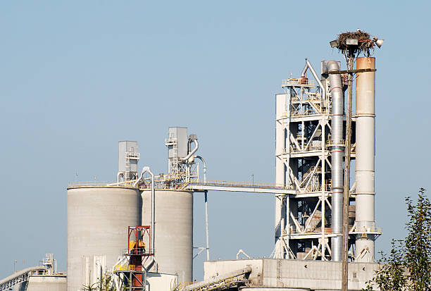 istock Osprey and concrete plant 173821537