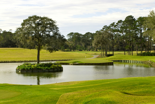 Photograph of the 17th Island Green at Sawgrass