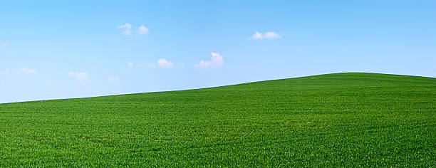 istock Spring panorama 28MPix XXXXL - meadow, blue sky, clouds 173822197