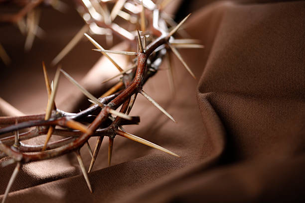 istock Crown of Thorns on Brown Background 173822701