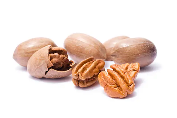 Pecan nuts isolated on white.