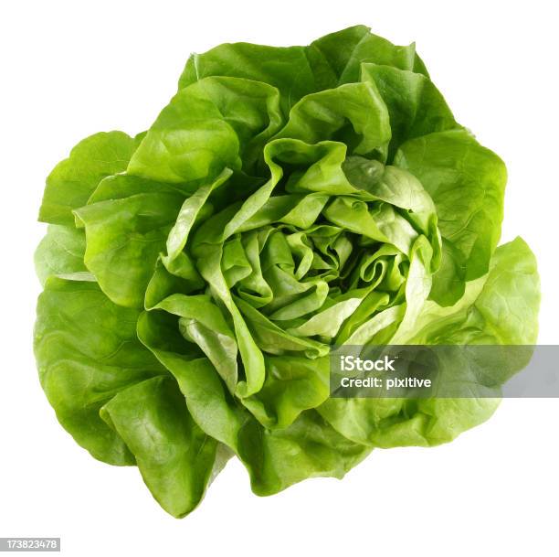 Grüner Salat Stockfoto und mehr Bilder von Grüner Salat - Grüner Salat, Salat - Blattgemüse, Weißer Hintergrund