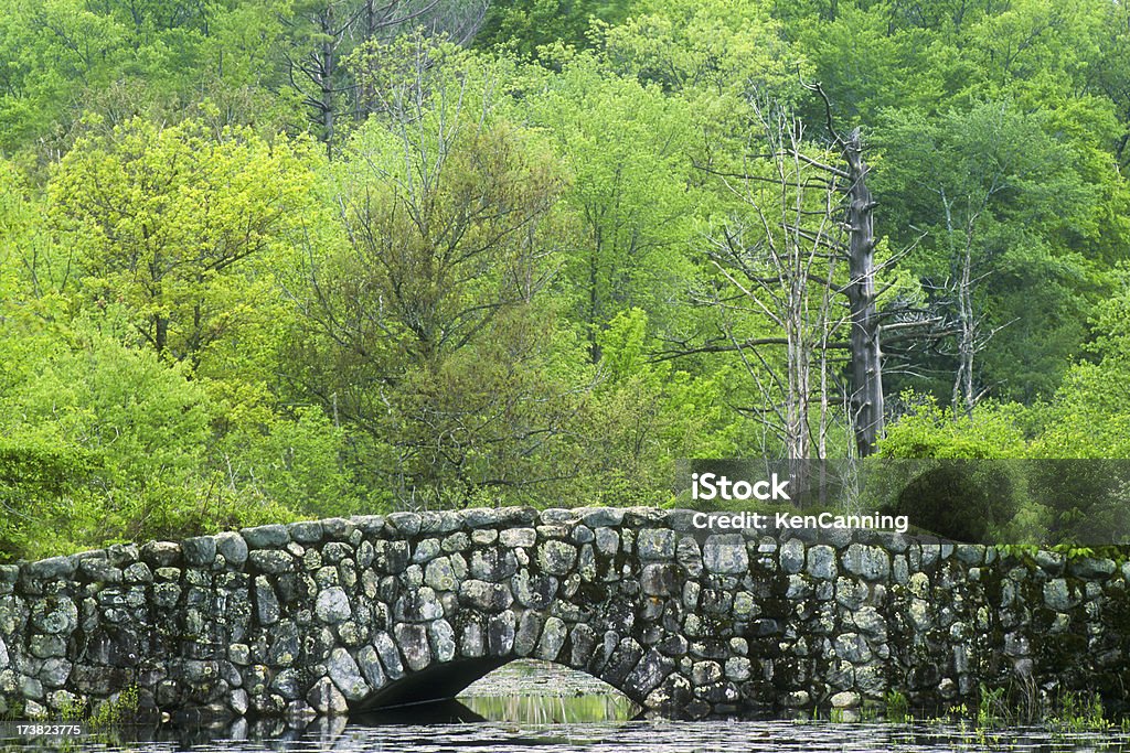 Stone Fuß Brücke über den Teich - Lizenzfrei Baum Stock-Foto