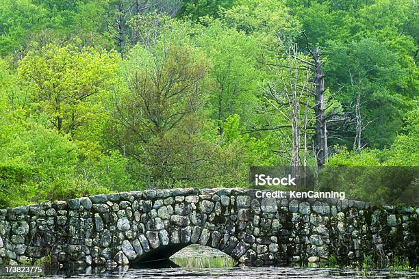 Kamienny Most Na Nogi Nad Wiosna Pond - zdjęcia stockowe i więcej obrazów Ameryka Północna - Ameryka Północna, Bez ludzi, Droga