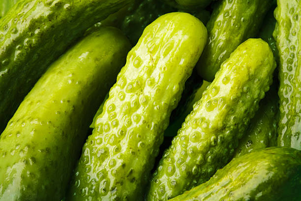 Baby Pickles Baby size pickles. pickled stock pictures, royalty-free photos & images