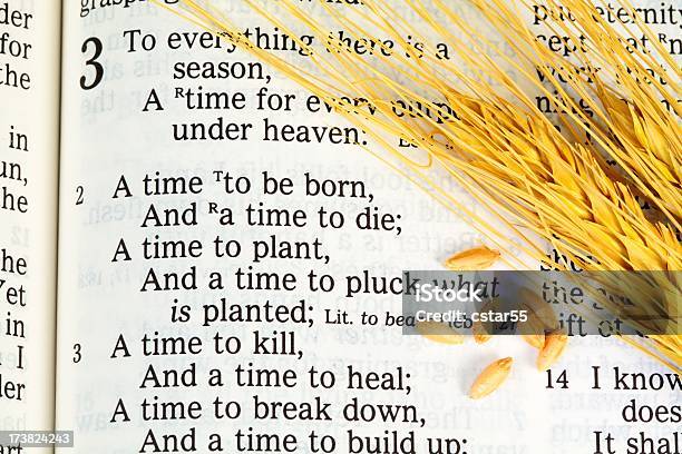 聖書 Scripture Ecclesiastes - アクセスしやすいのストックフォトや画像を多数ご用意 - アクセスしやすい, カラー画像, キリスト教