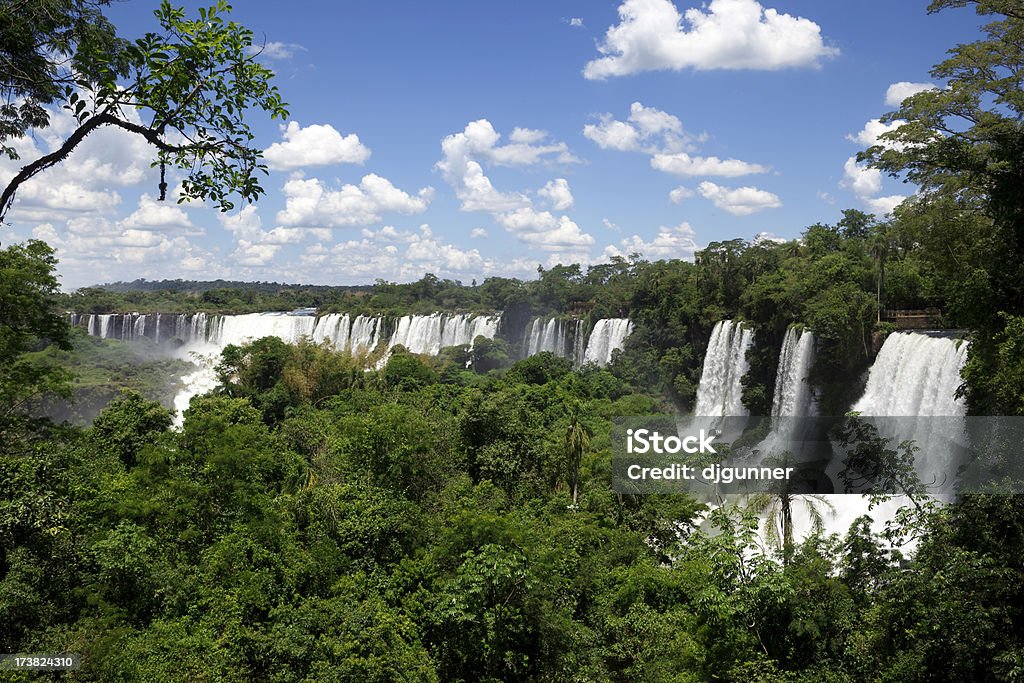 イグアスの滝や熱帯雨林 - アマゾン熱帯雨林のロイヤリティフリーストックフォト