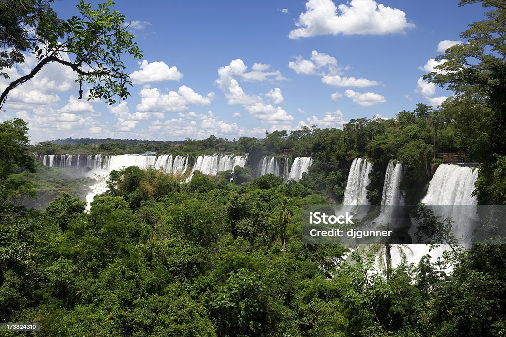 Iguazu Falls i Las deszczowy - Zbiór zdjęć royalty-free (Amazoński las deszczowy)