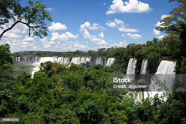 Iguazu Falls I Las Deszczowy - zdjęcia stockowe i więcej obrazów Amazoński las deszczowy - Amazoński las deszczowy, Światło słoneczne, Ameryka