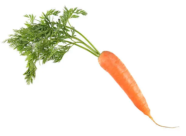 Carrot isolated on white.