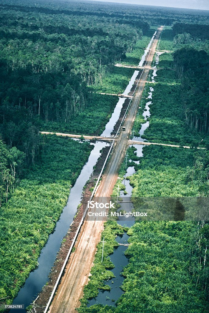 Industrie du pétrole. - Photo de Forêt libre de droits