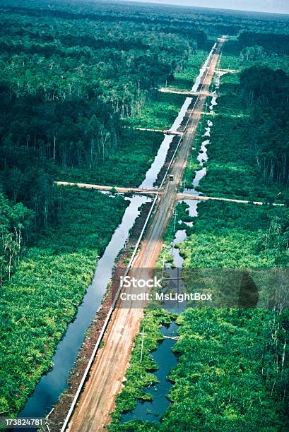 Photo libre de droit de Industrie Du Pétrole banque d'images et plus d'images libres de droit de Forêt - Forêt, Forêt pluviale, Gaz naturel