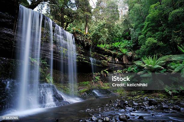 Cataratas Russell - Fotografias de stock e mais imagens de Floresta - Floresta, Cascata, Cor verde