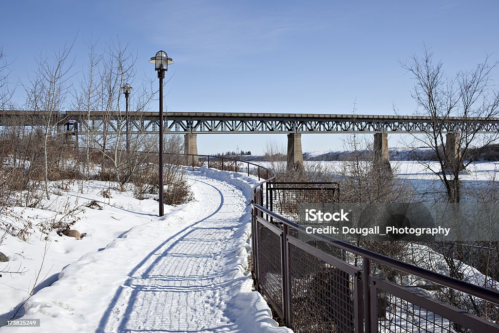 Saskatoon Riverside sentier de marche en hiver - Photo de Fleuve et rivière libre de droits