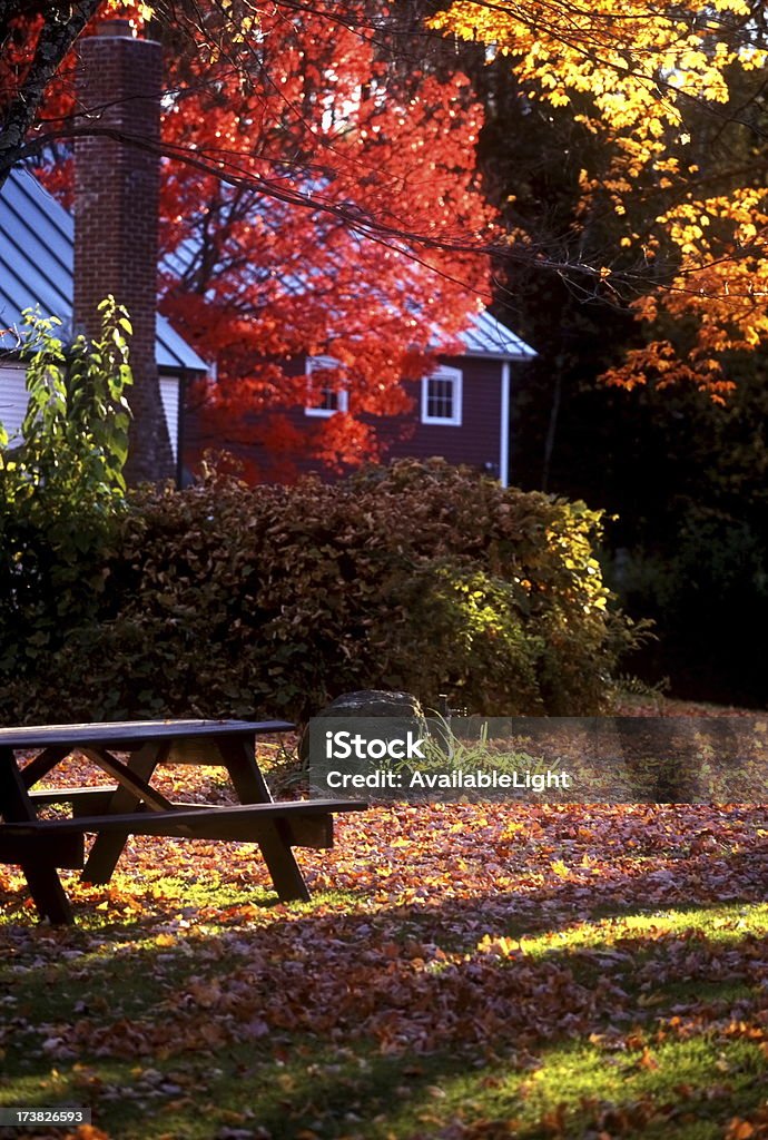 Herbst-Picknick - Lizenzfrei Bildhintergrund Stock-Foto