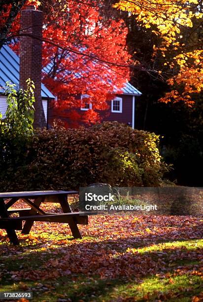 Herbstpicknick Stockfoto und mehr Bilder von Bildhintergrund - Bildhintergrund, Blatt - Pflanzenbestandteile, Fotografie