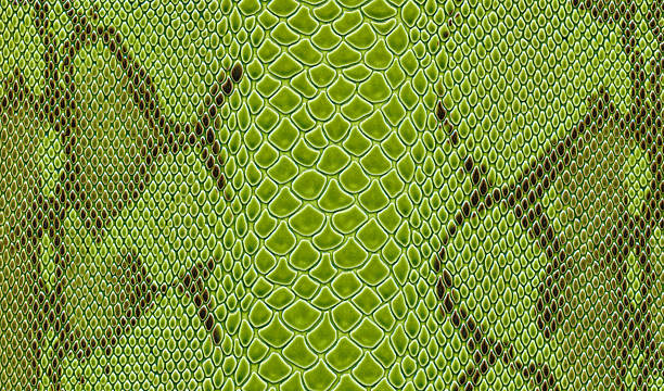 Green Snake Skin