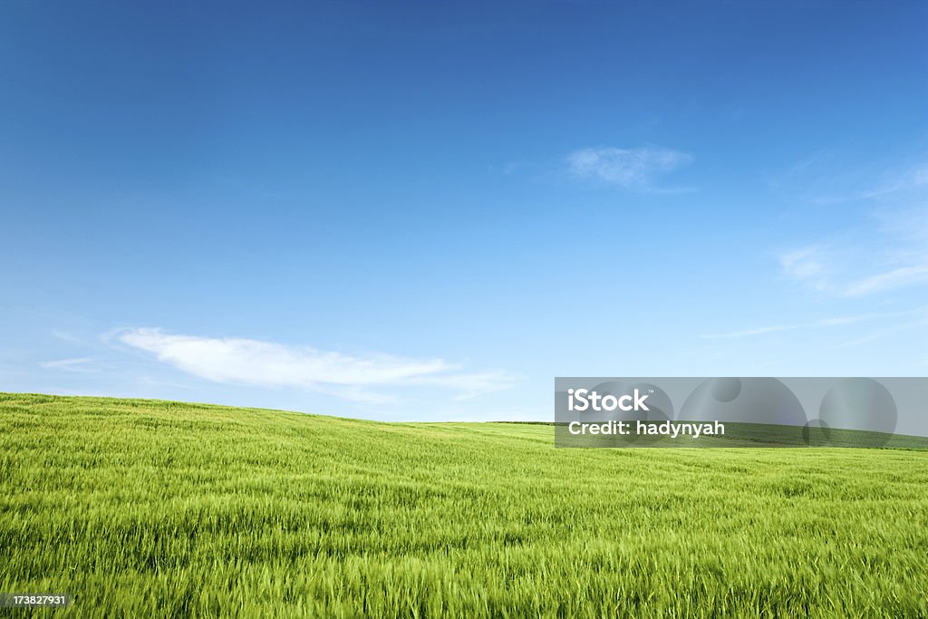 Frühling Landschaft - Lizenzfrei Anhöhe Stock-Foto