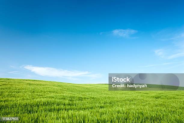 Frühling Landschaft Stockfoto und mehr Bilder von Anhöhe - Anhöhe, Blau, Farbbild