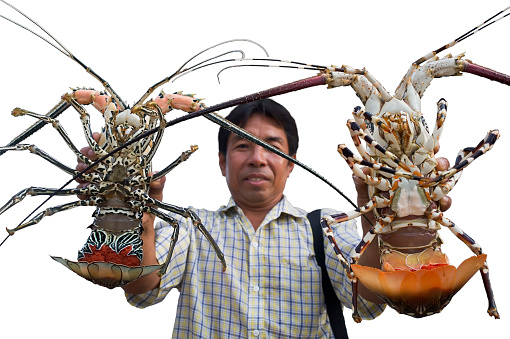 Urak Lawoi sea gypsy fisherman holds up two large lobster in Phuket, southern Thailand.