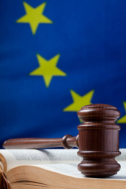 istock Gavel on law book and EU flag 173828219