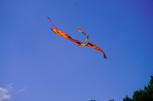 A kite flies in the blue sky