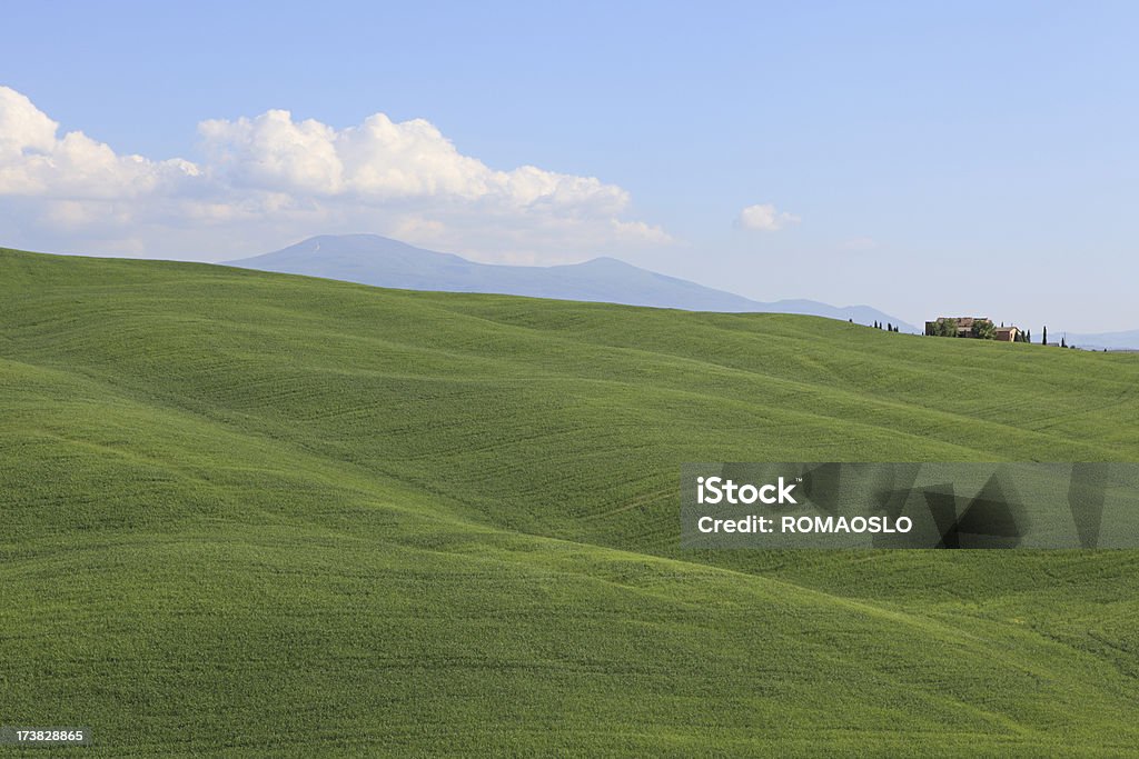 Val d'Orcia primavera campo e fattoria, Toscana, Italia - Foto stock royalty-free di Agricoltura