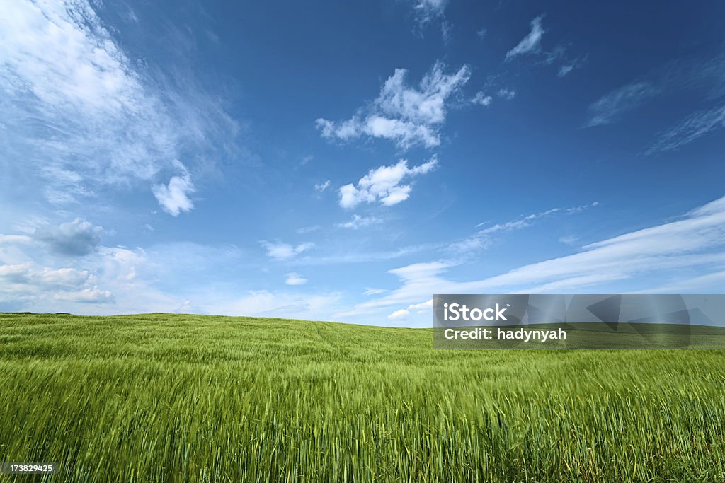 Frühling Landschaft - Lizenzfrei Weiß Stock-Foto