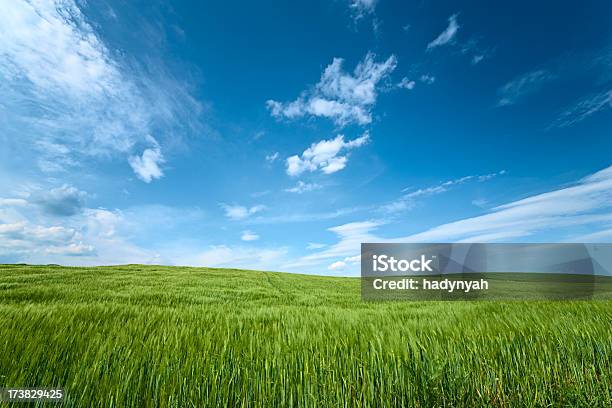 Frühling Landschaft Stockfoto und mehr Bilder von Weiß - Weiß, Anhöhe, Blau