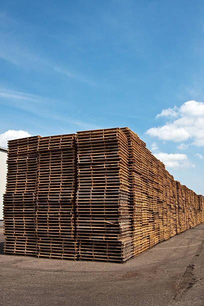 istock Long line of stacked pallets 173829599