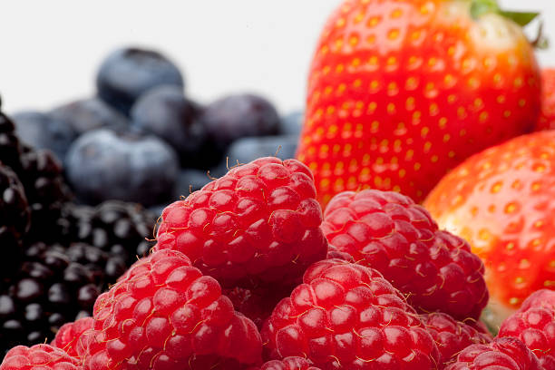 Forest fruits