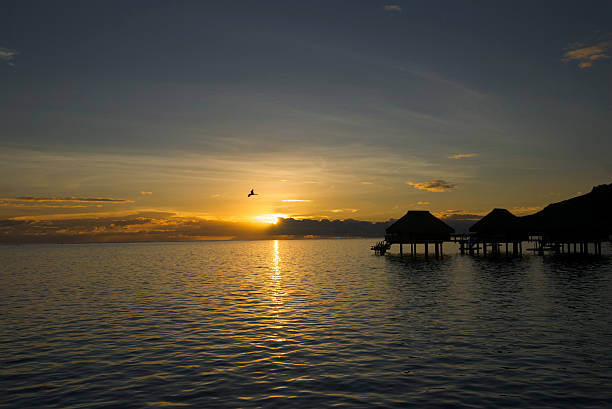 dom parterowy sunrise - polynesia bungalow beach sunrise zdjęcia i obrazy z banku zdjęć